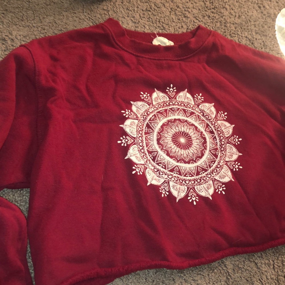 Long sleeve crop top
